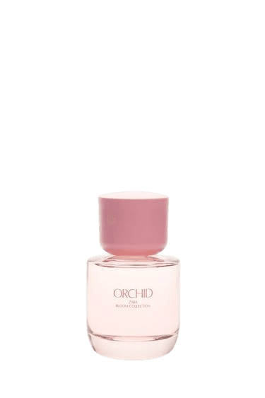 Zara Orchid 50ml