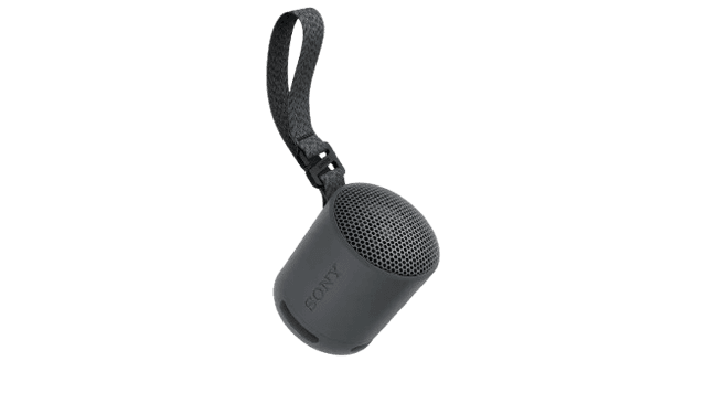 Sony SRS-XB100 Bluetooth Portable Speaker - Black