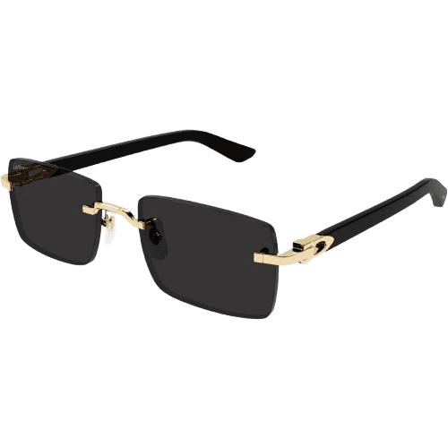 Cartier Men's Rectangle Sunglasses