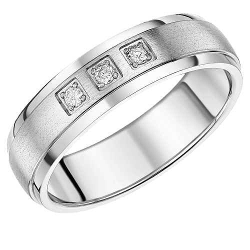 Elma Jewellery 6mm Men's Titanium Diamond Ring Matt & Polished