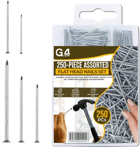 G4GADGET 250-Piece Assorted Flat Head Nails