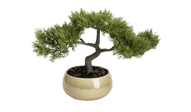 Argos Home Artificial Bonsai Tree in Ceramic Glaze Pot