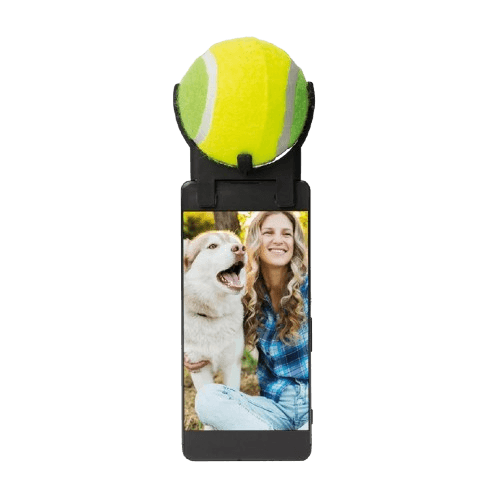 #winning Dog Selfie Tool