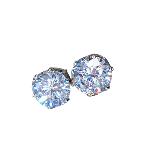 Stainless Steel Earrings