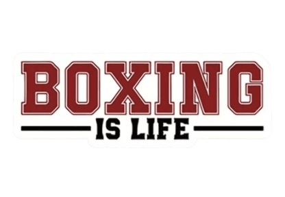 2D Boxing Is Life Sticker