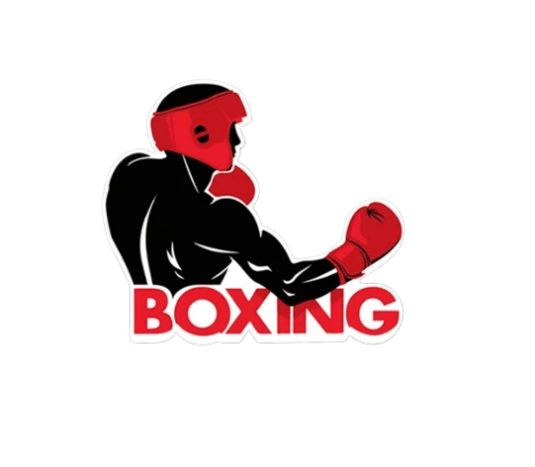 Boxing Car Sticker