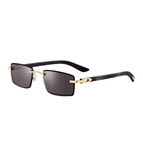 Cartier Sunglasses with Elongated C de Cartier motif